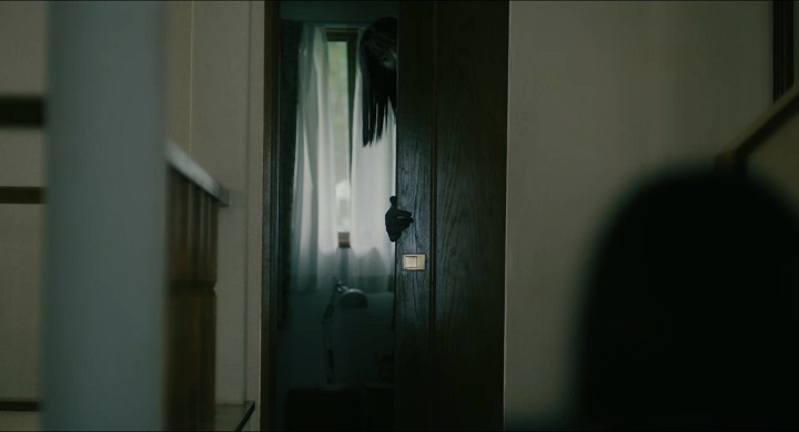 アラキンのムービーワンダーランド/アラキンのムービーワンダーランド/「雉岳山(チアクサン)」「サユリ」などのとっておき情報