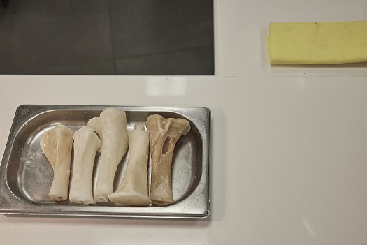 ドキュメンタリ－映画「ムガリッツ」　”異端の名店”の異次元の独創的料理の舞台裏