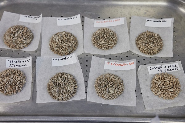 ドキュメンタリ－映画「ムガリッツ」　”異端の名店”の異次元の独創的料理の舞台裏