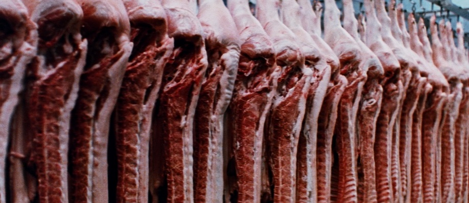 “オーストラリアのヒッチコック”鬼才リチャード・フランクリン監督の最高傑作「ロードゲーム」 約44年を経て日本劇場初公開