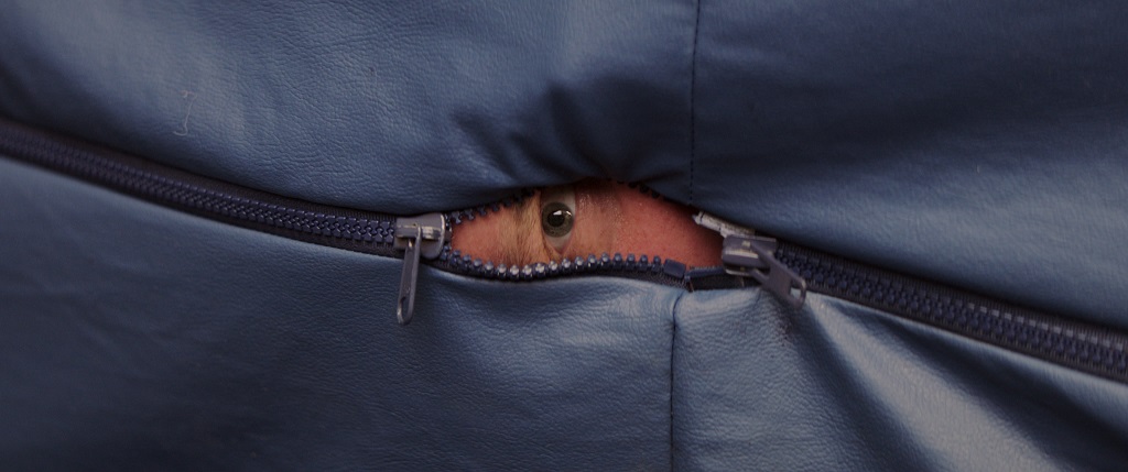 アラキンのムビーワンダーランド／「未体験ゾーンの映画たち2026」「チャック・ベリー　ブラウン・アイド・ハンサム・マン」のとっておき情報